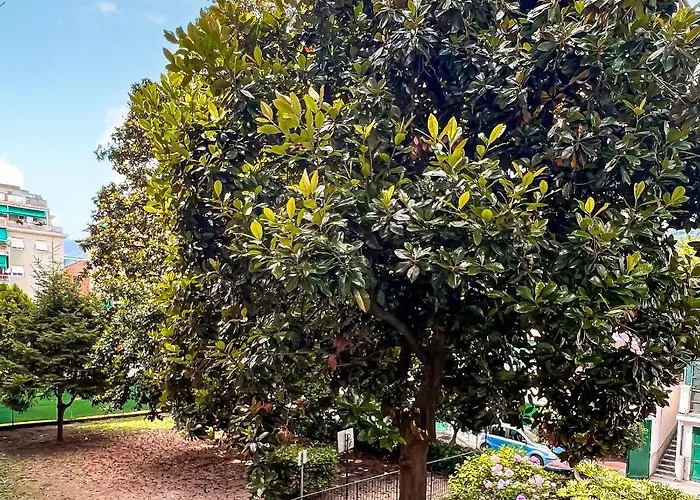 Apartment Casa Monuriki *